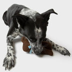 Chocolate Bunny Plush Easter Dog Toy with Squeaker
