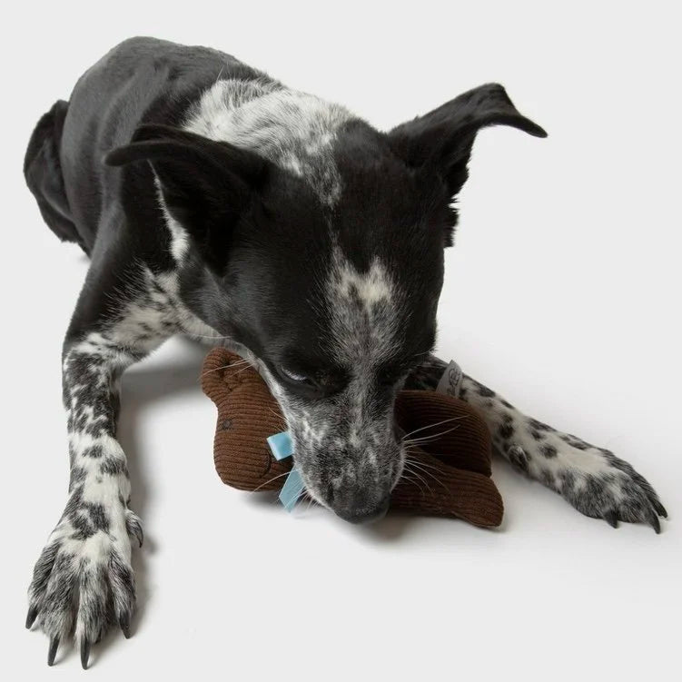 Chocolate Bunny Plush Easter Dog Toy with Squeaker