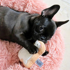 Sugar Cookie Easter Bunny Dog Toy