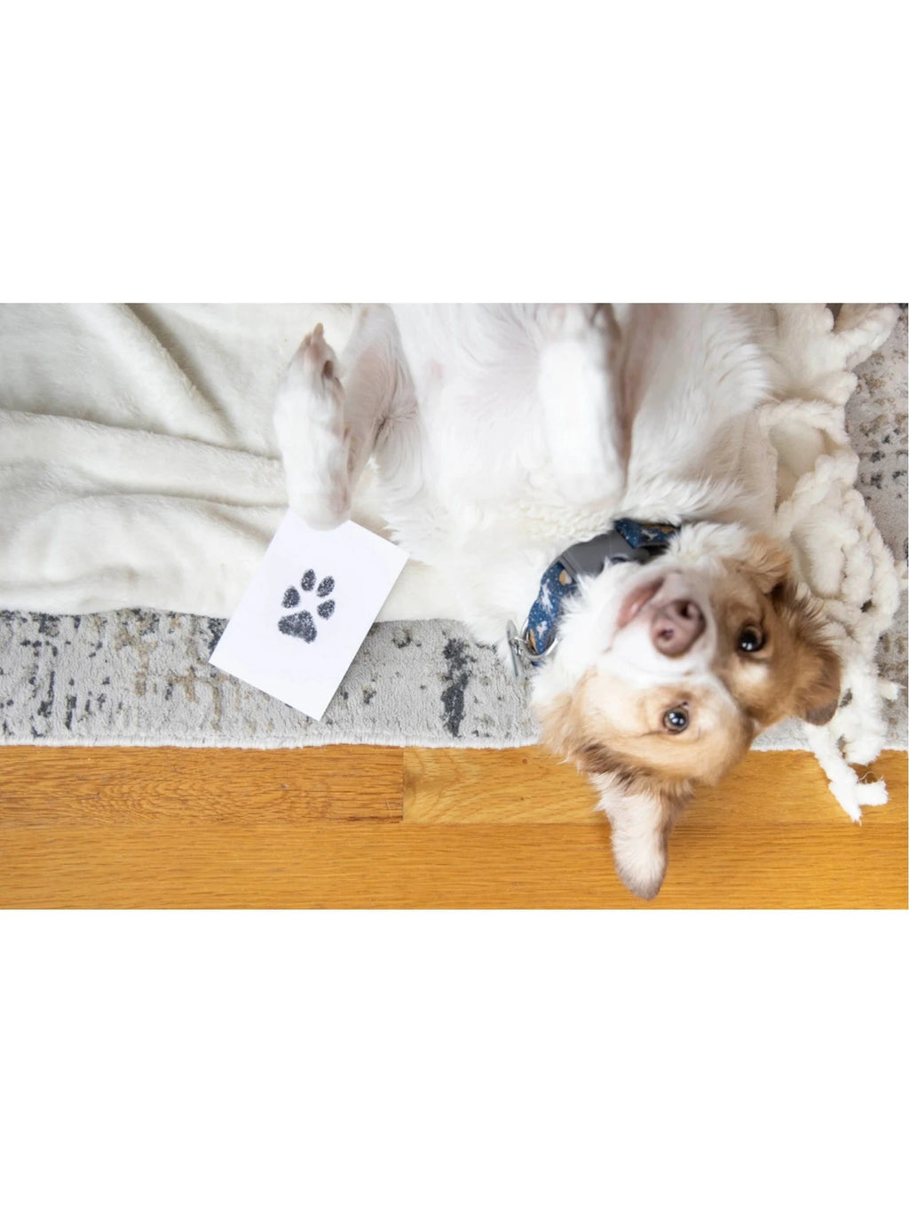 Pet Pawprint Clean-Touch Ink Pad