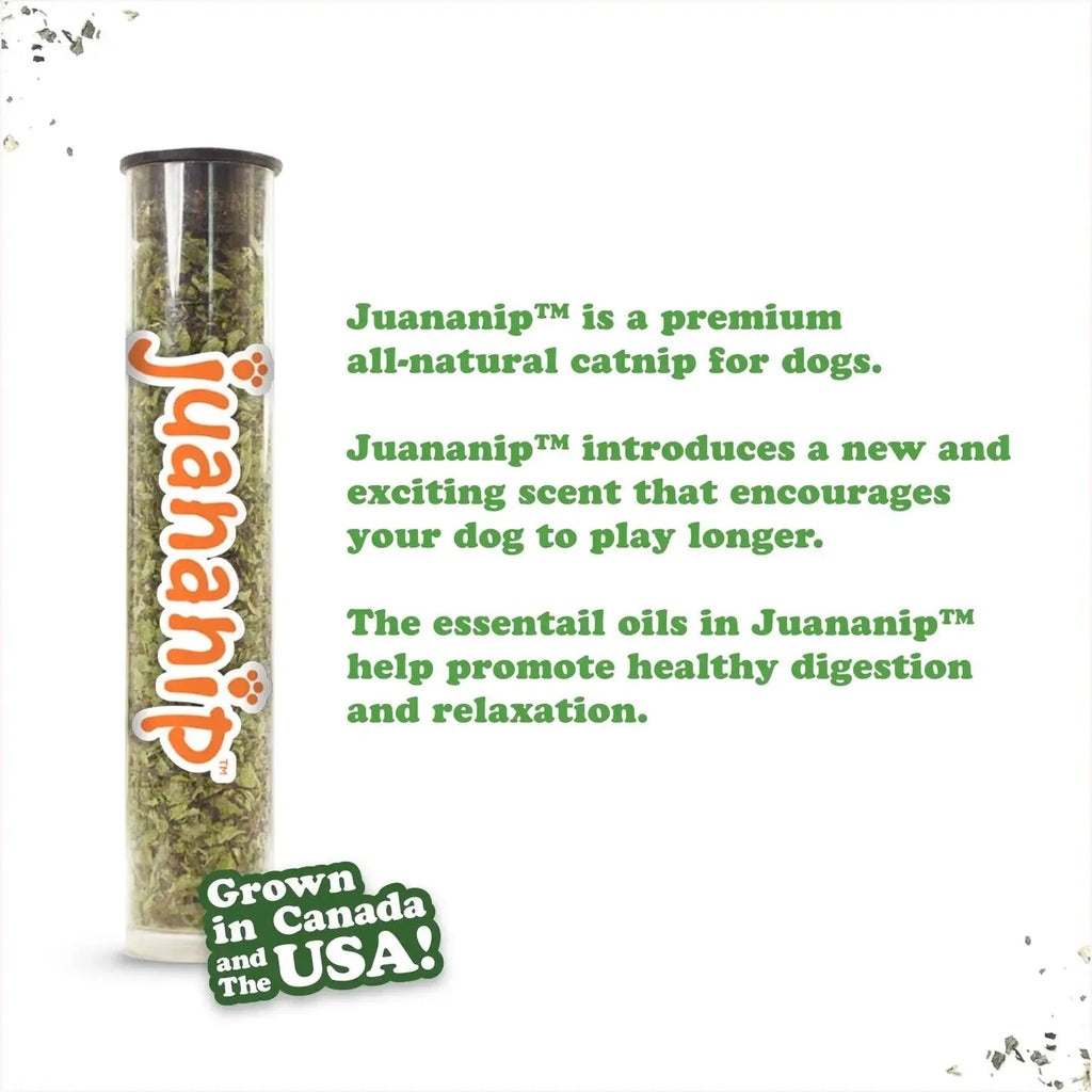 Doggijuana® Tuffer Chewer Mini Watermelon Slice Dog Toy