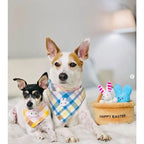 Hide A Toy Easter Basket Dog Toy