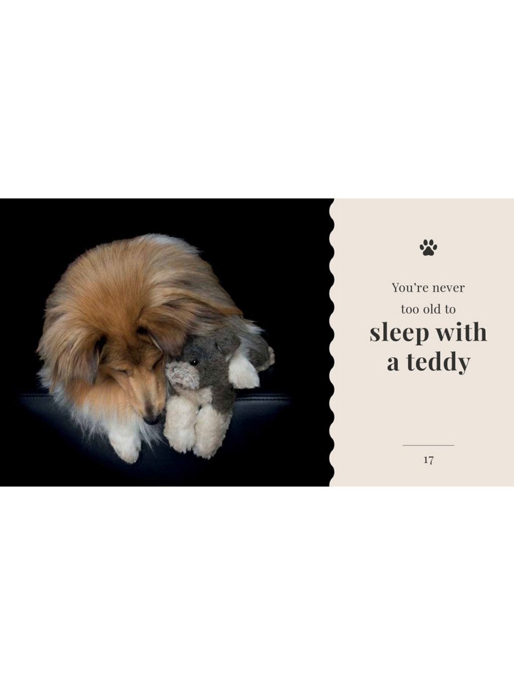The Wisdom of Dogs: Alex Cearns