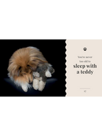The Wisdom of Dogs: Alex Cearns