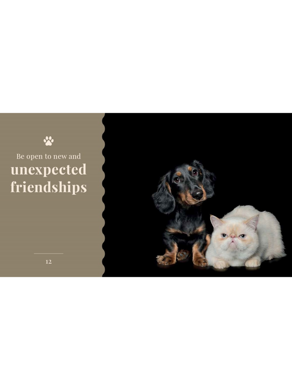 The Wisdom of Dogs: Alex Cearns