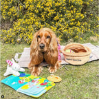 Hide A Toy Easter Basket Dog Toy