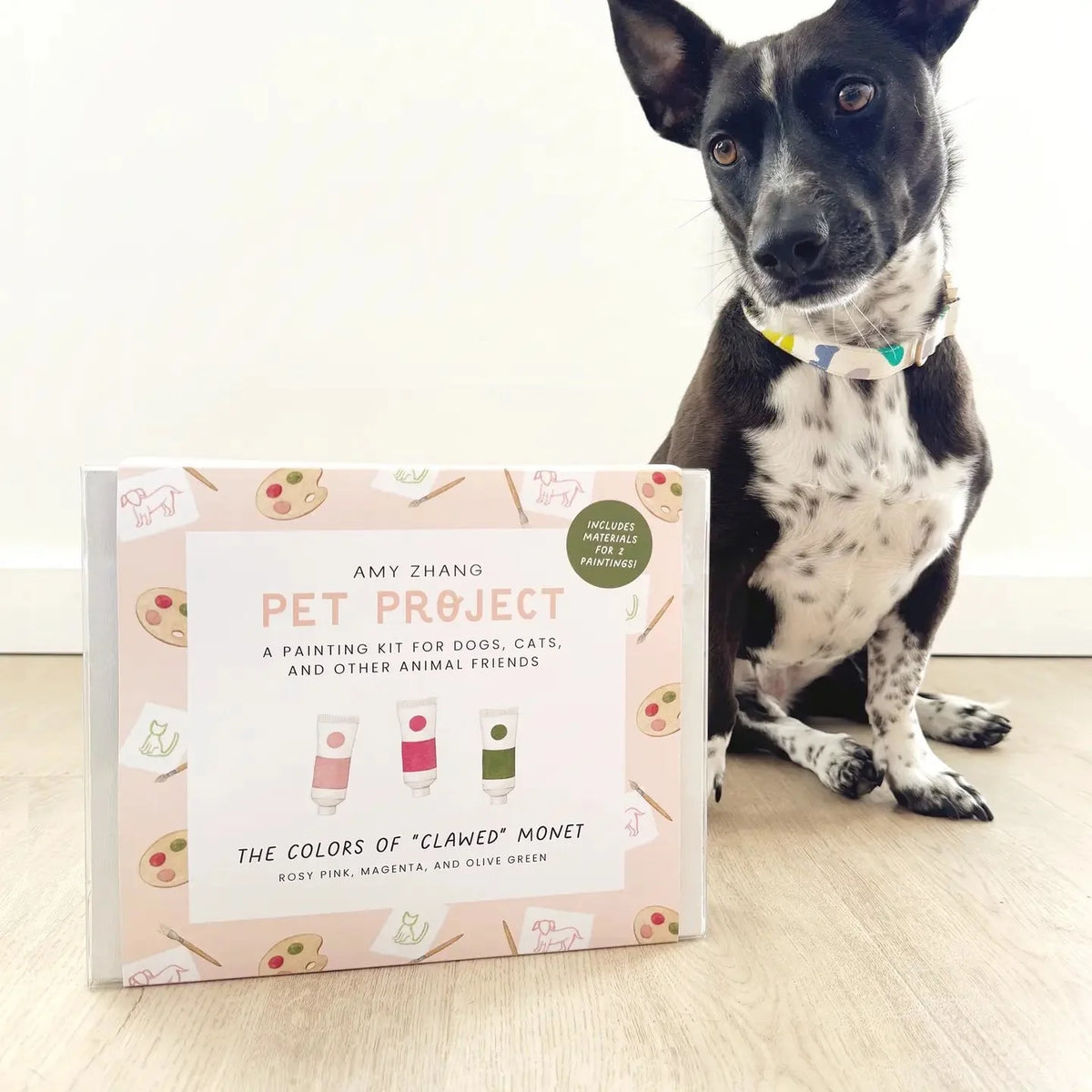 Pet Project Monet — Paint Activity Kit For Dogs and Cats