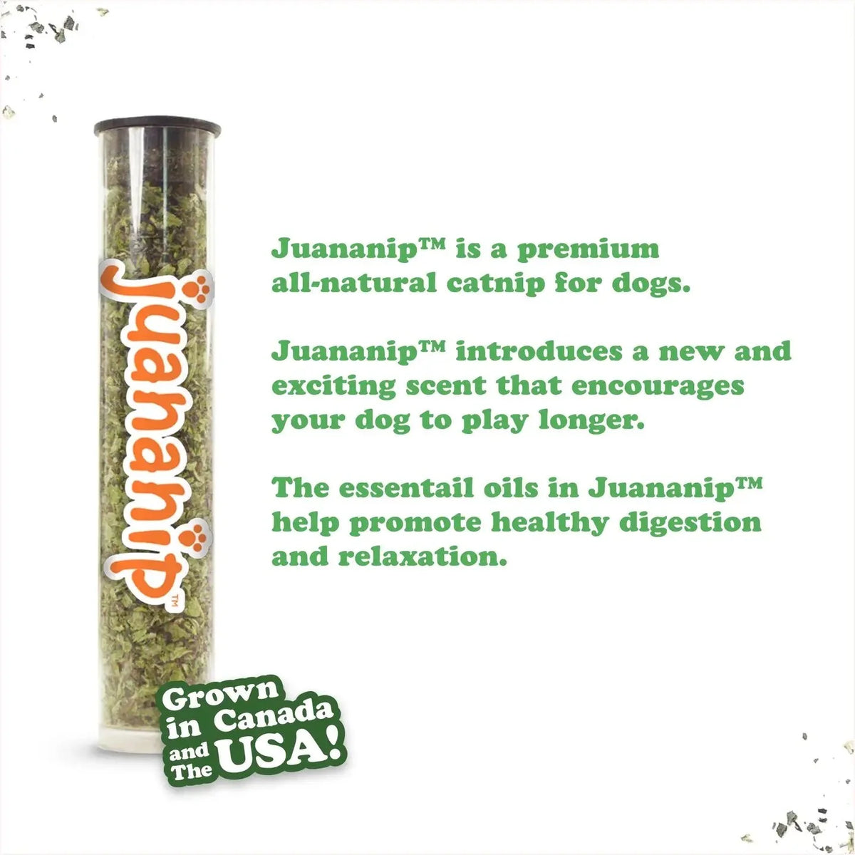 Doggijuana® Tuffer Chewer Dill Pickle Refillable Dog Toy