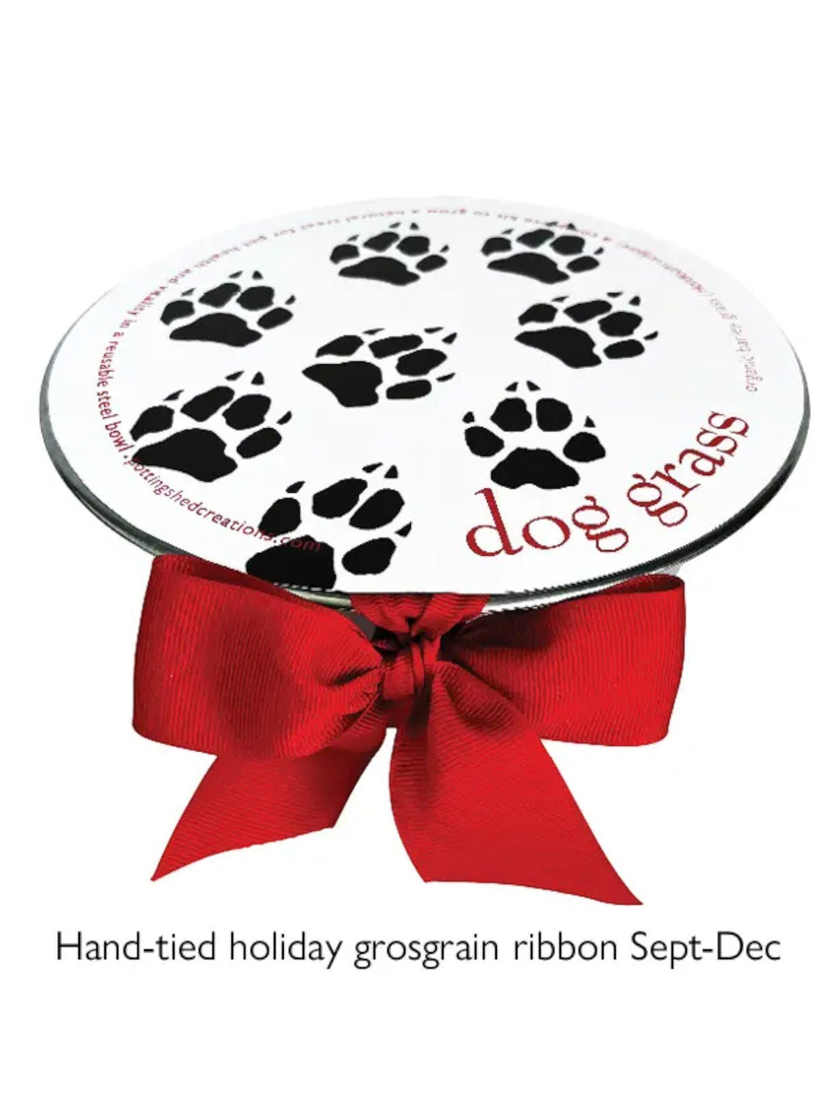 Dog Grass | Pet Bowl