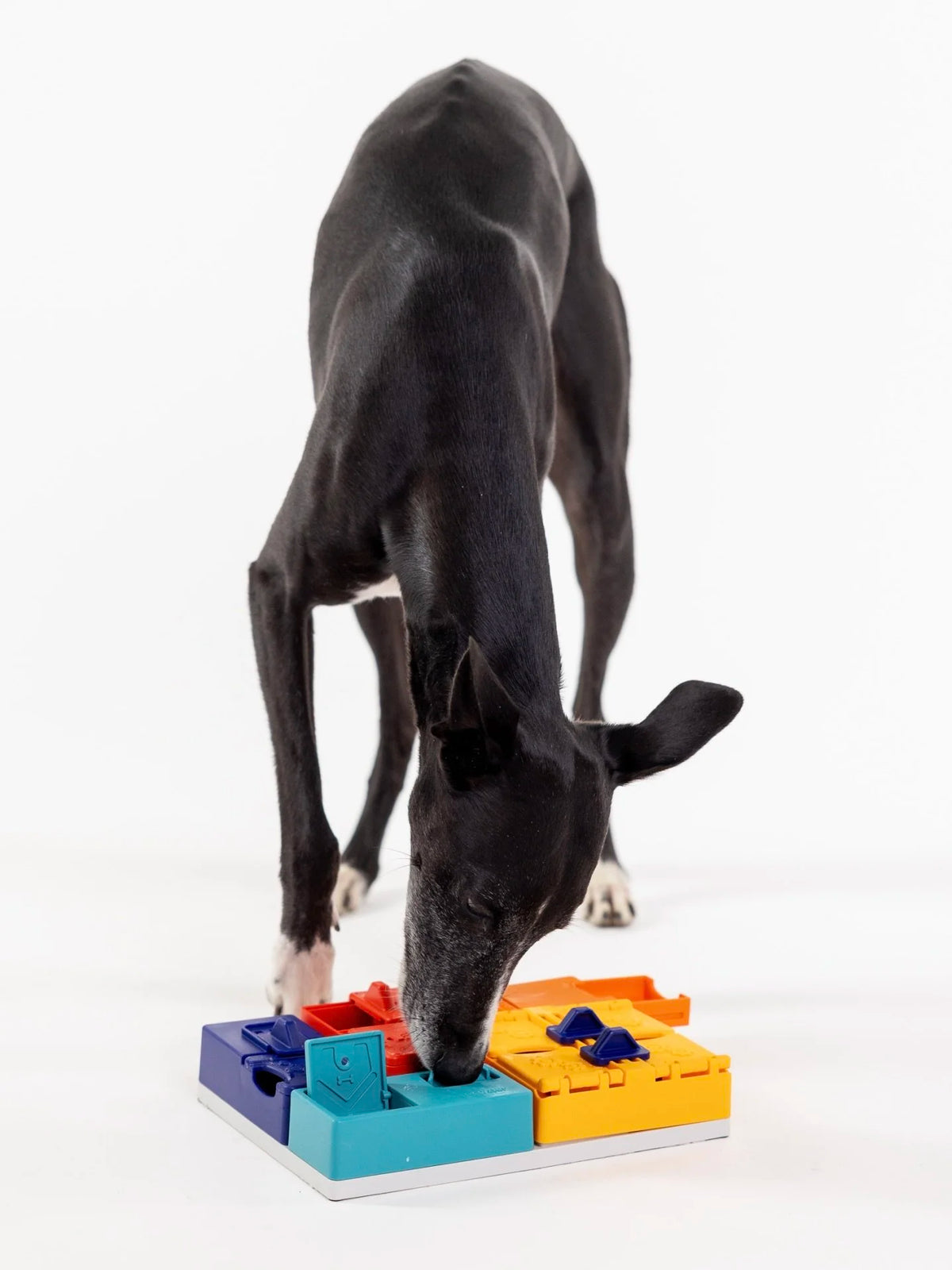 Genius Set Level 3 | Pawzler