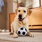 Soccer Ball Plush Dog Toy