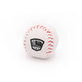 Baseball Plush Dog Toy