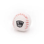 Baseball Plush Dog Toy