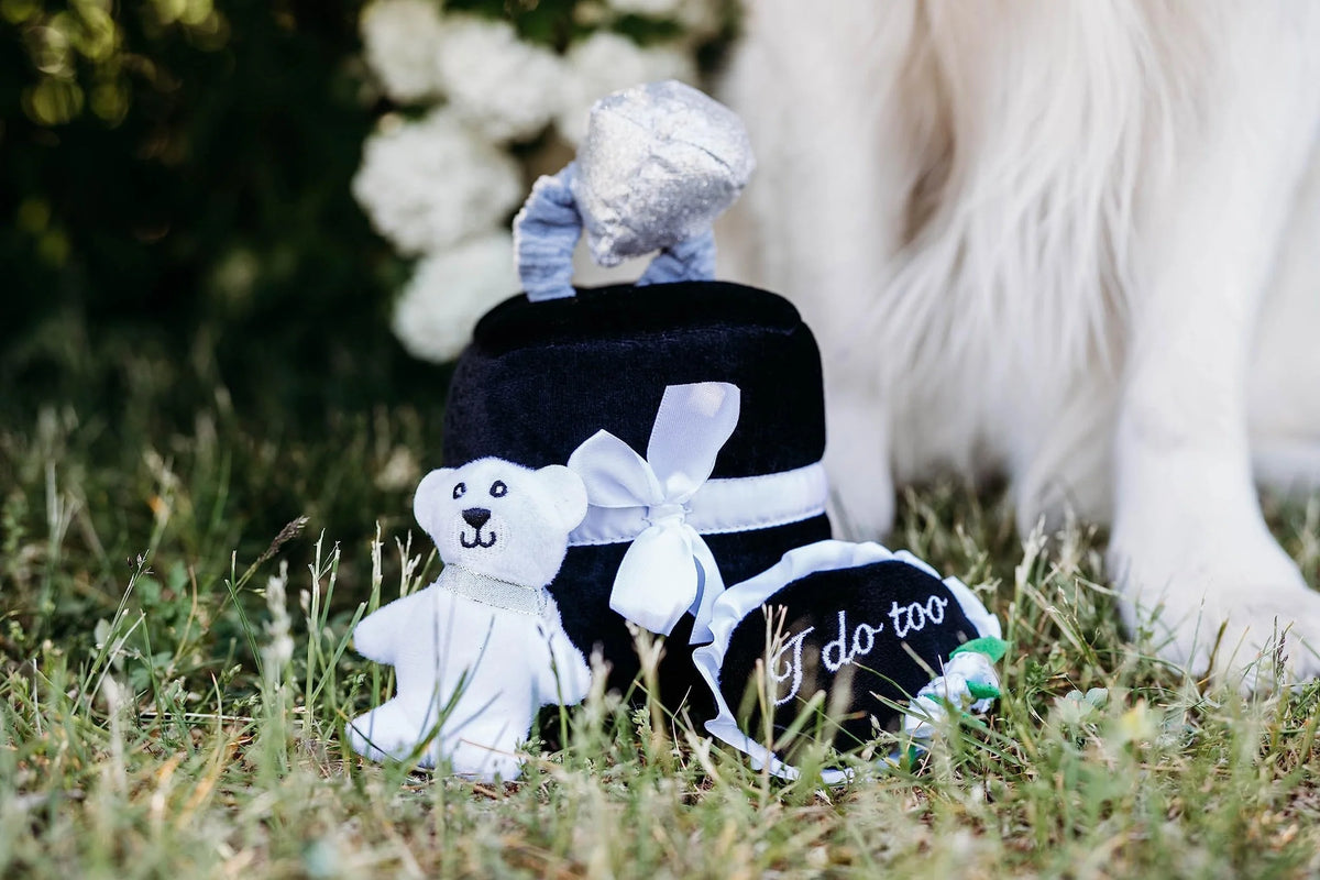 Wedding Ring Box Interactive Dog Toy
