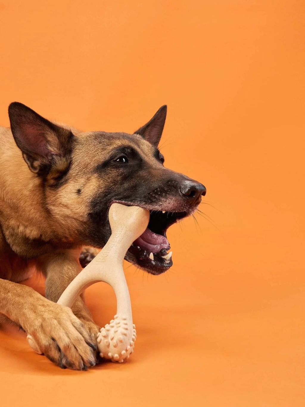 Better Bone