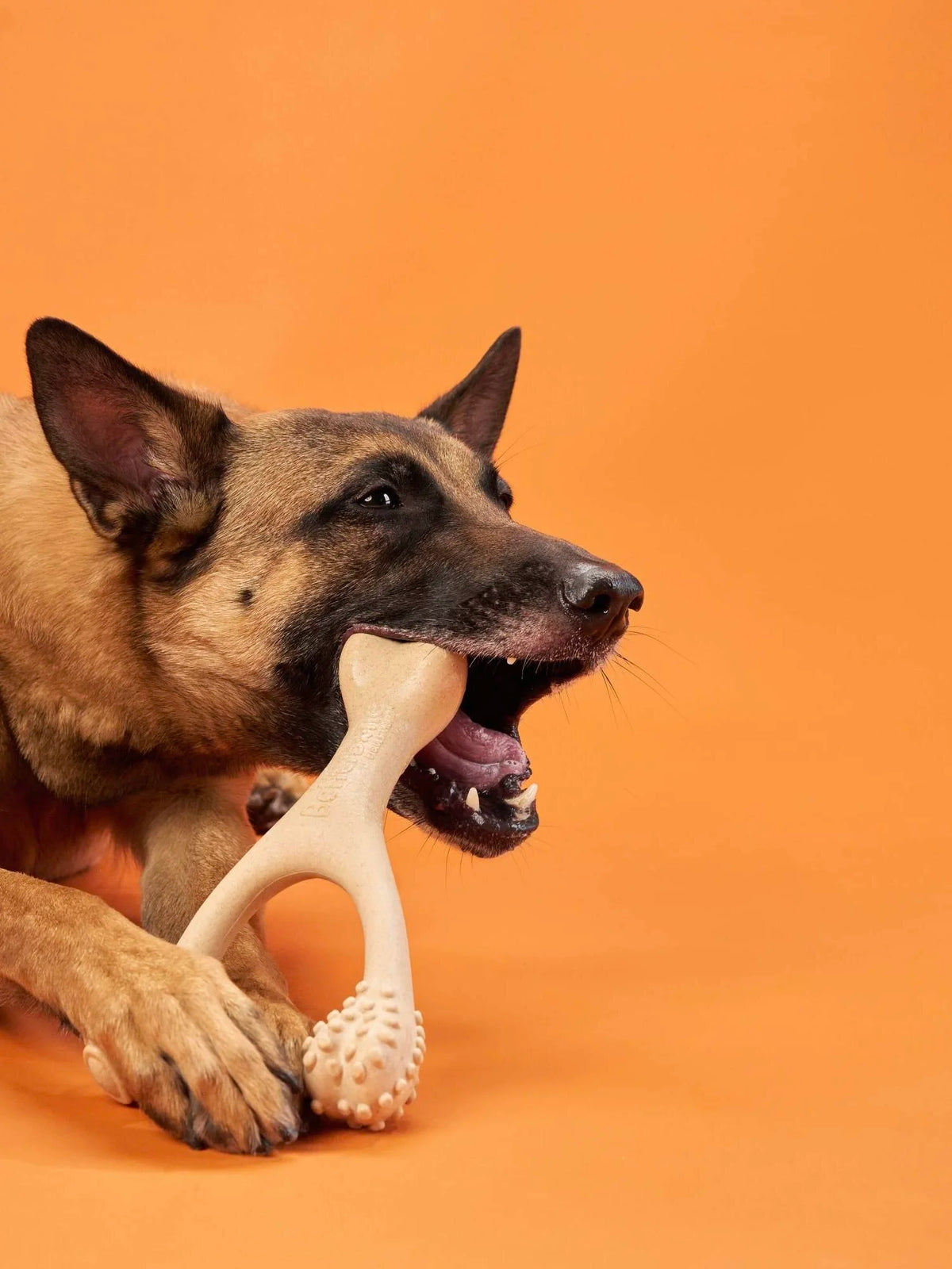 Better Bone