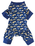 Moon & Stars Blue Pajamas
