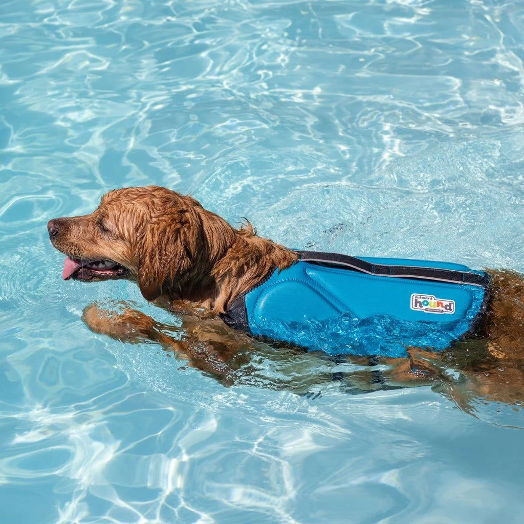 Outward Hound Dawson Neoprene Dog Life Jacket | Blue