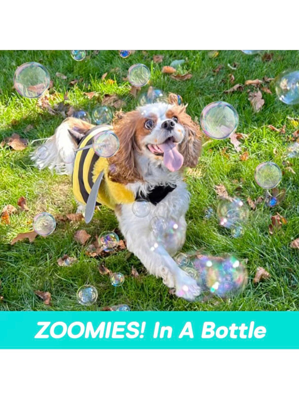 Bubble Lick Flavored Pet‑Safe Bubbles – USA‑Made, Food‑Grade Bubble Solution for Dogs & Kids