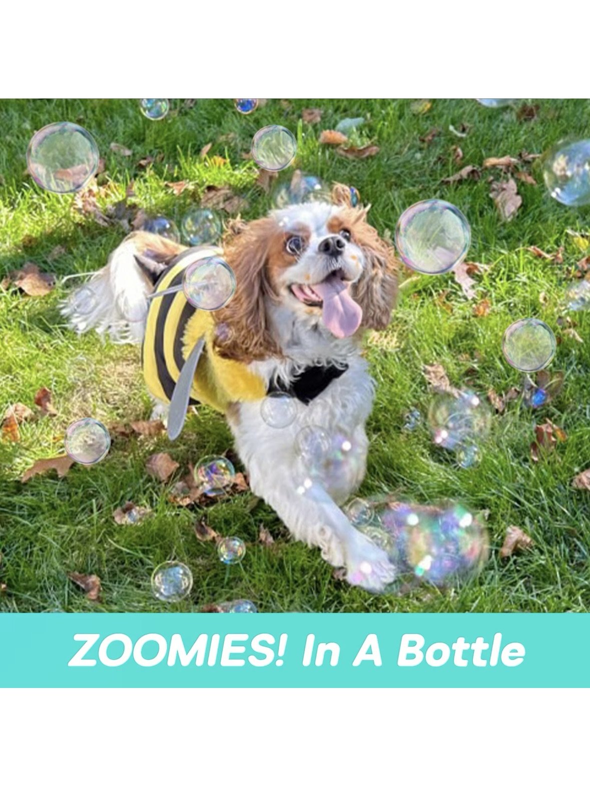 Bubble Lick Flavored Pet‑Safe Bubbles – USA‑Made, Food‑Grade Bubble Solution for Dogs & Kids