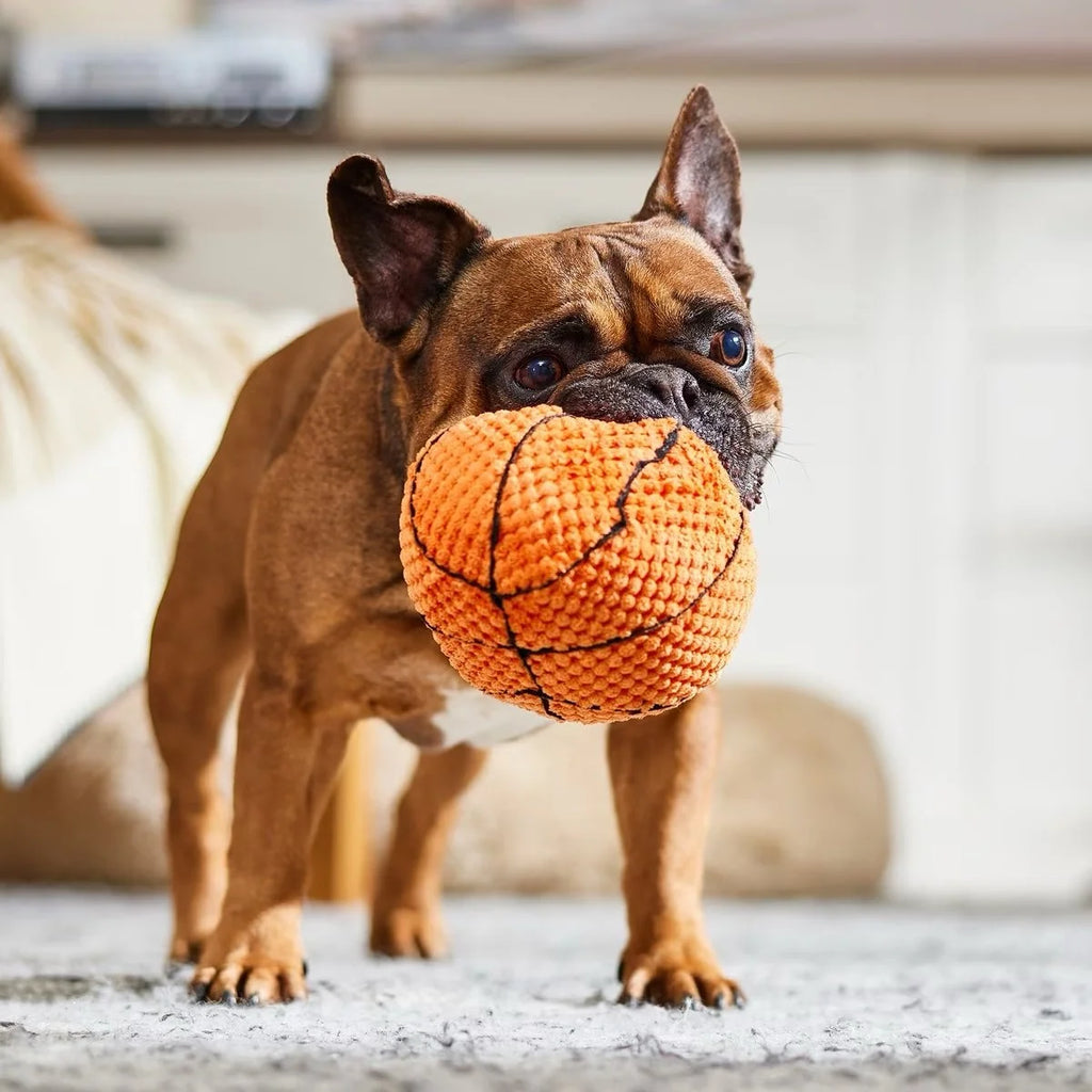 Basketball Plush Dog Toy
