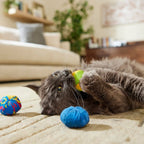 Cat Balls Catnip Toy Set