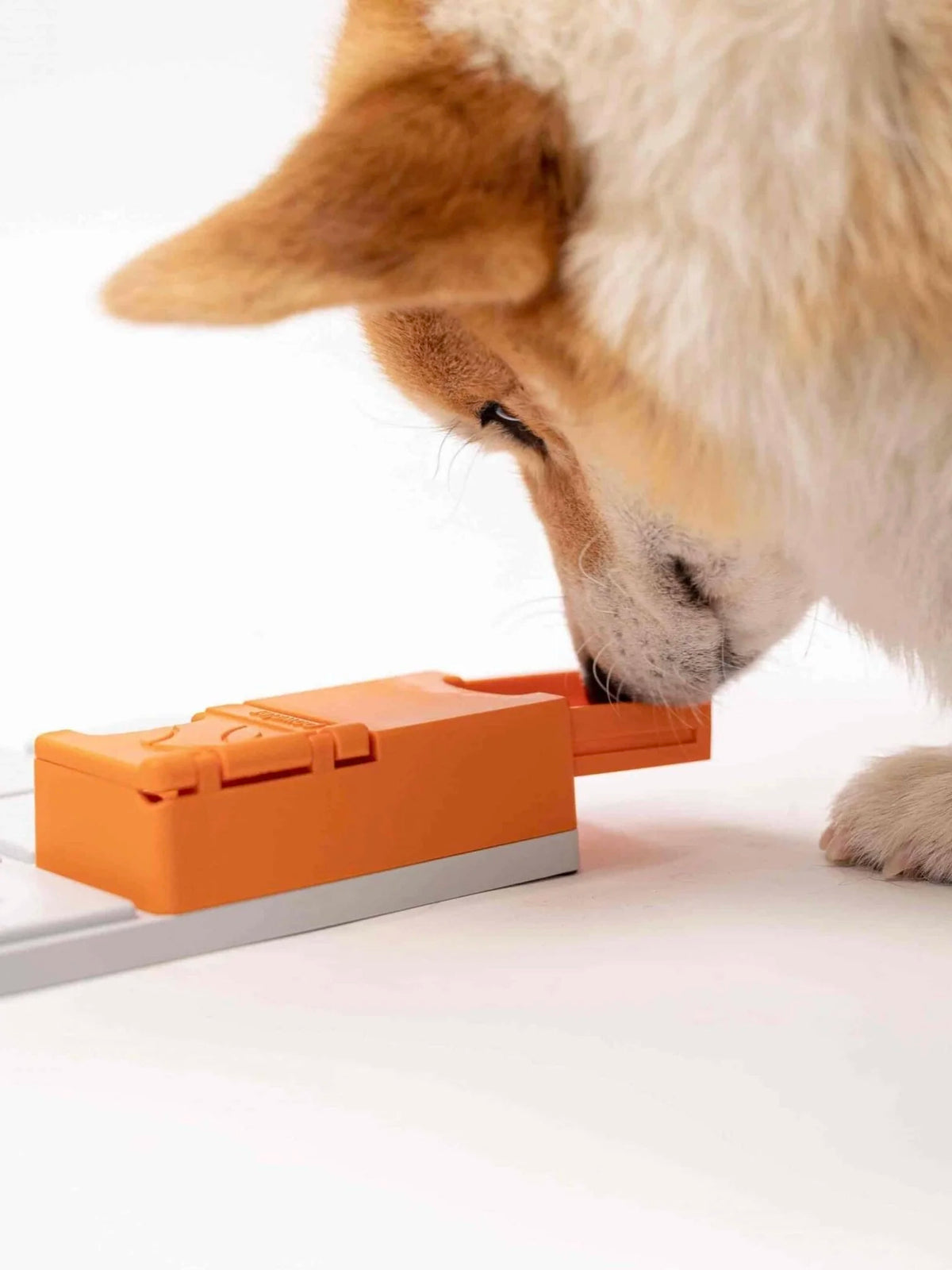 Maya Pawzle | Pawzler