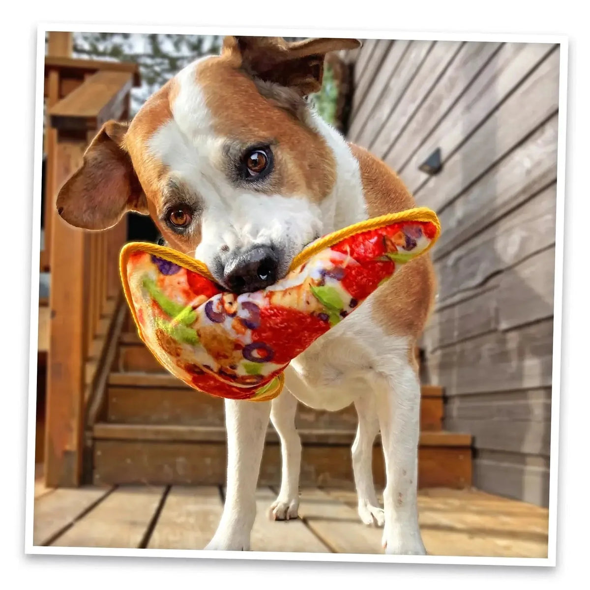 Doggijuana® Tuffer Chewer Supreme Pizza Refillable Dog Toy