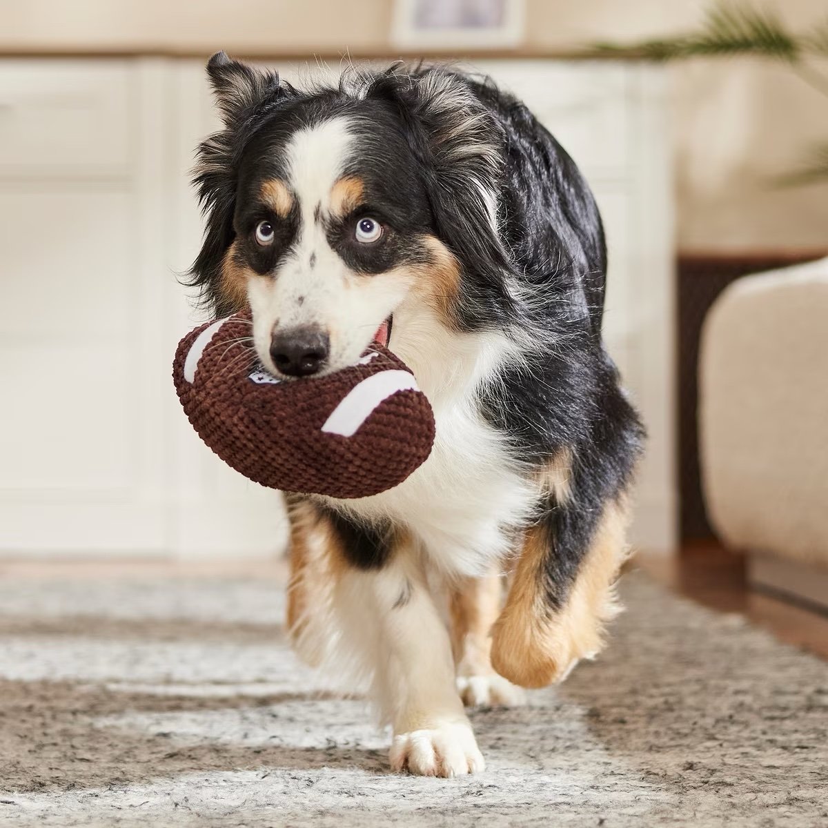 Football Plush Dog Toy