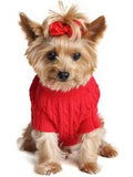 Fiery Red Cotton Sweater