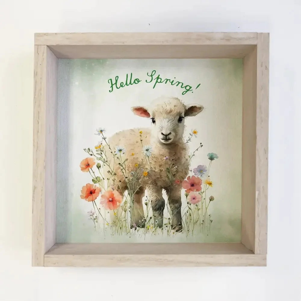 Hello Spring - Spring Time Lamb Canvas Art - Wood Framed