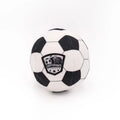 Soccer Ball Plush Dog Toy