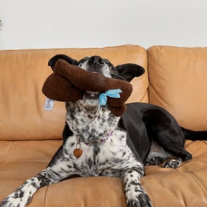 Chocolate Bunny Plush Easter Dog Toy with Squeaker