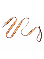 Fall Check Lead