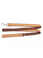 Fall Check Lead