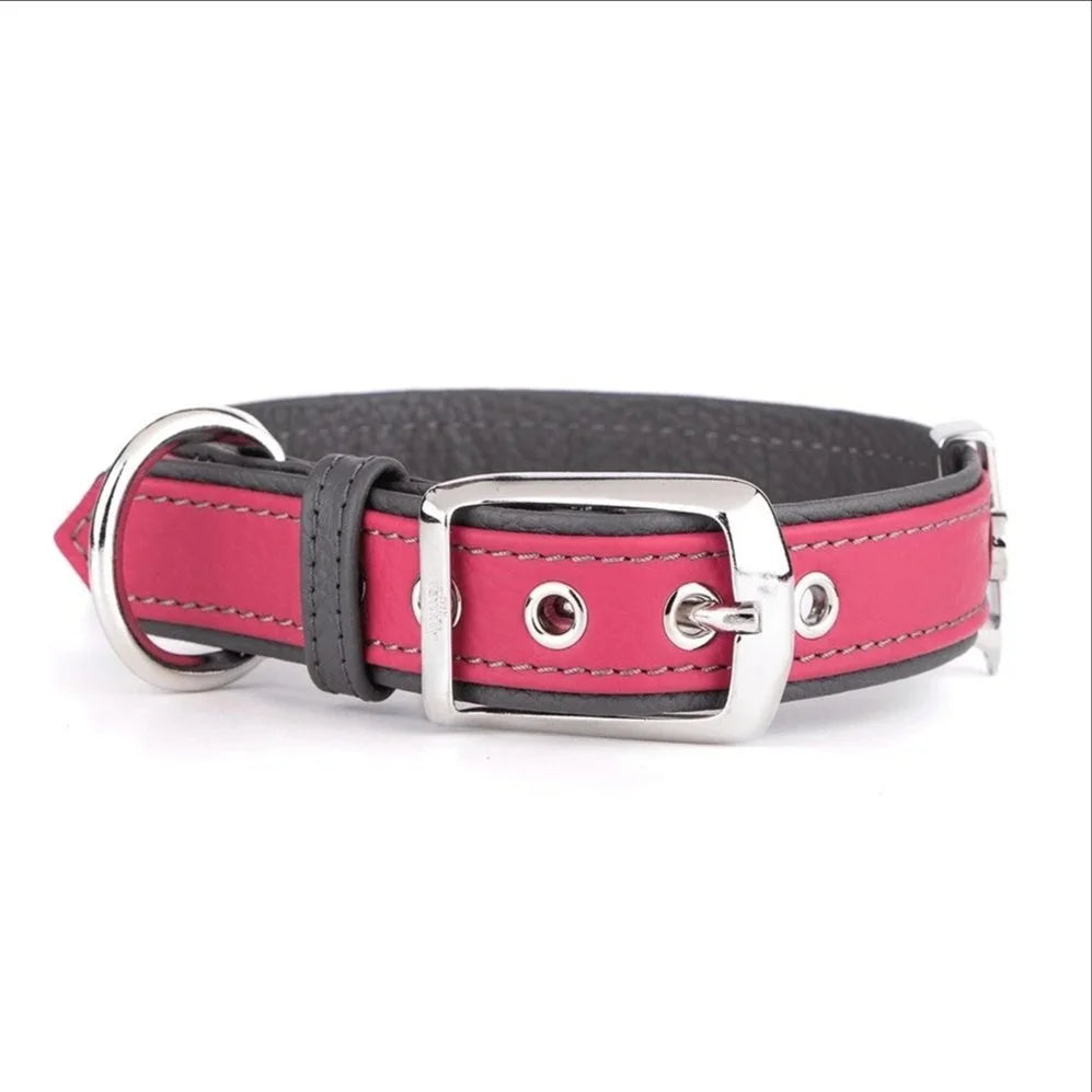 MyFamily Firenze Fuchsia Genuine Leather Dog Collar