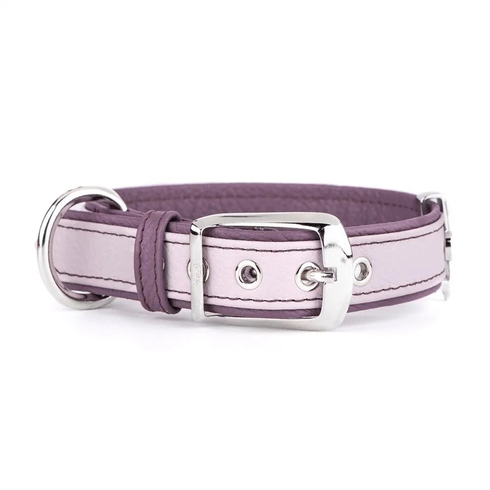 MyFamily Firenze Light Purple Genuine Leather Dog Collar