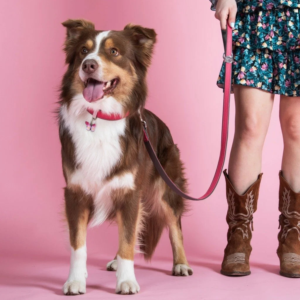 MyFamily Firenze Fuchsia Genuine Leather Dog Collar