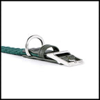 MyFamily Milano Green Italian Nylon Dog Collar