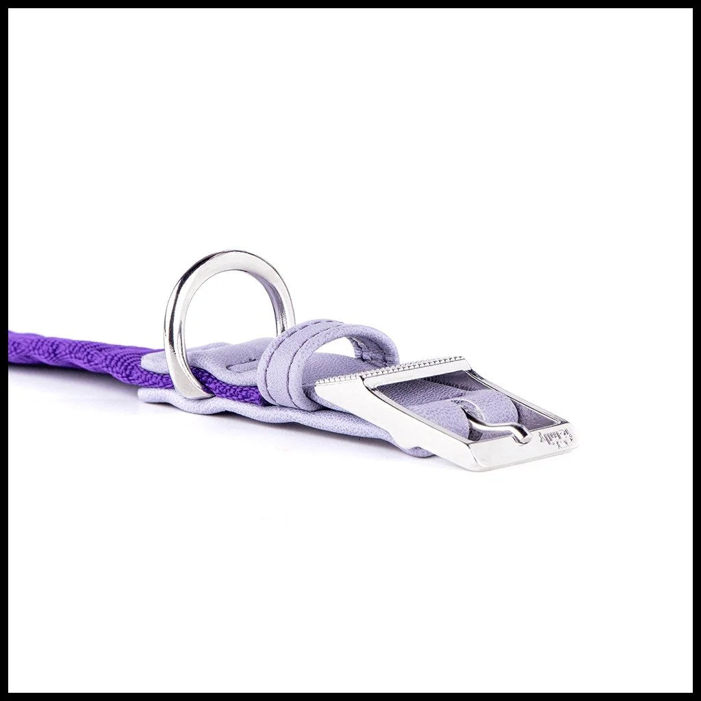 MyFamily Milano Purple Italian Nylon Dog Collar