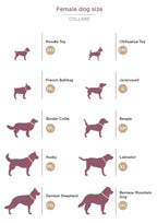 MyFamily Milano Purple Italian Nylon Dog Collar
