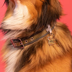 MyFamily Style Camouflage XL Green Bone ID Tag