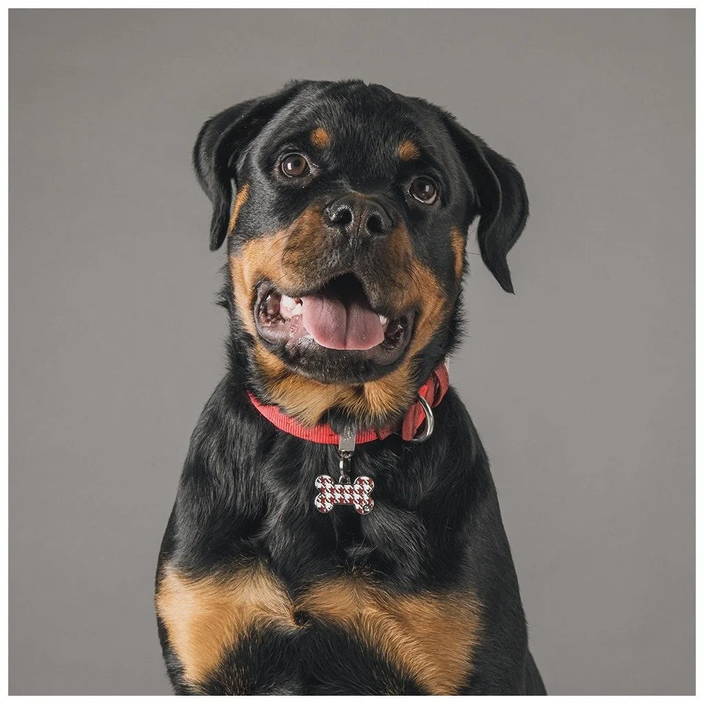 MyFamily Style Pied de Poule Houndstooth Big Red Bone ID Tag