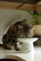 Necoichi Extra Wide Raised Cat Food Bowl – Go Green