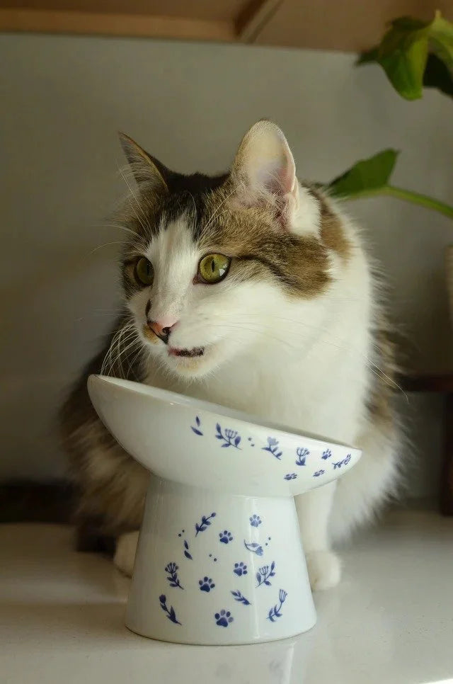 Necoichi Tilted Raised Cat Food Bowl – Nordic Blue