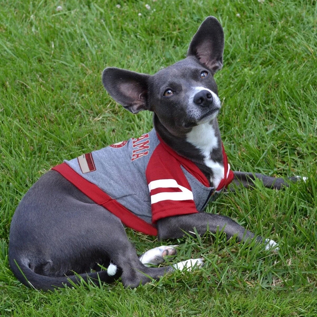 Pets First Alabama Crimson Tide Dog Hoodie
