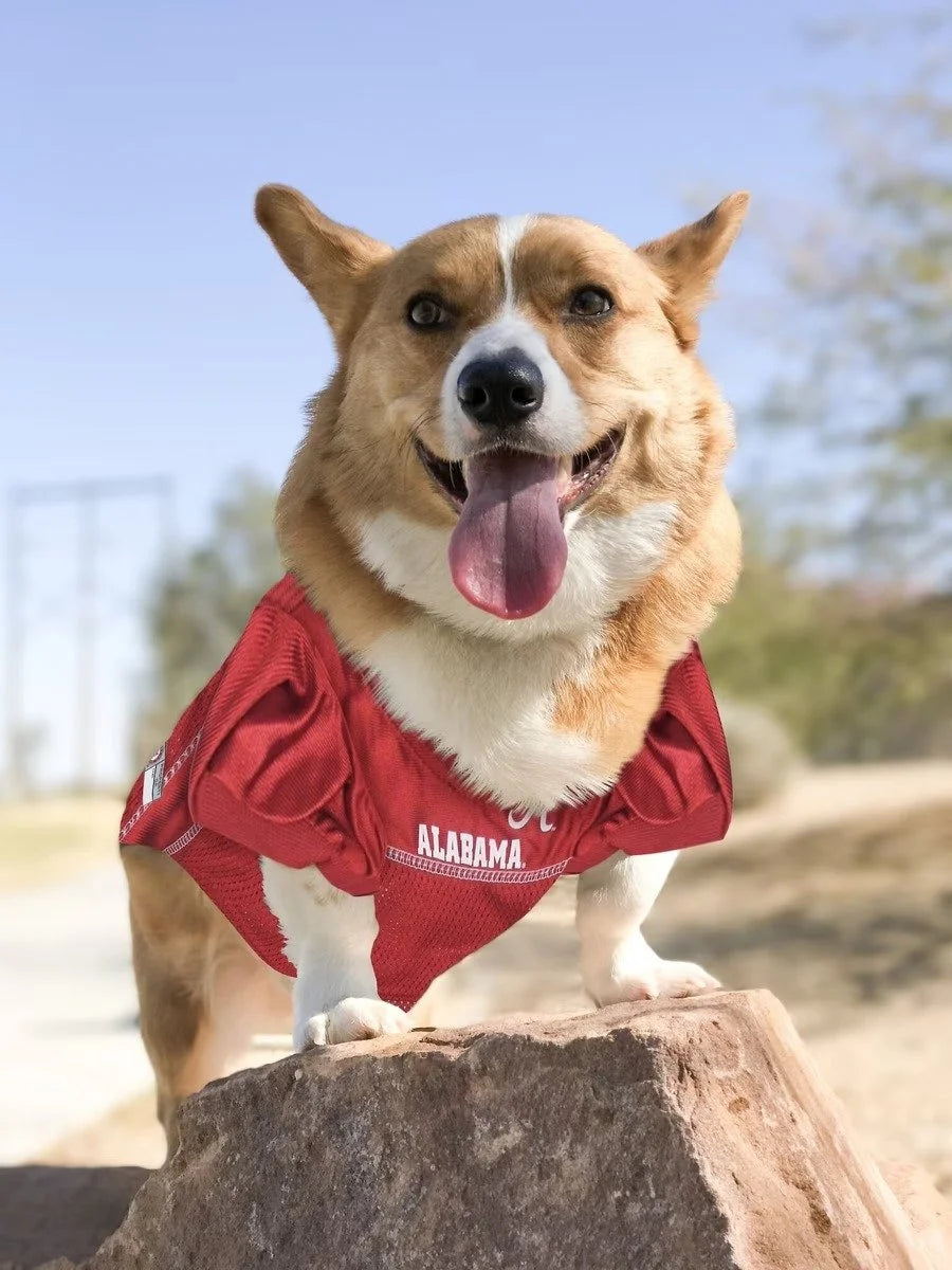Pets First Alabama Crimson Tide Mesh Jersey