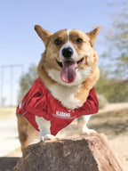 Pets First Alabama Crimson Tide Mesh Jersey