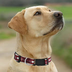 Pets First Alabama Crimson Tide Nylon Dog Collar