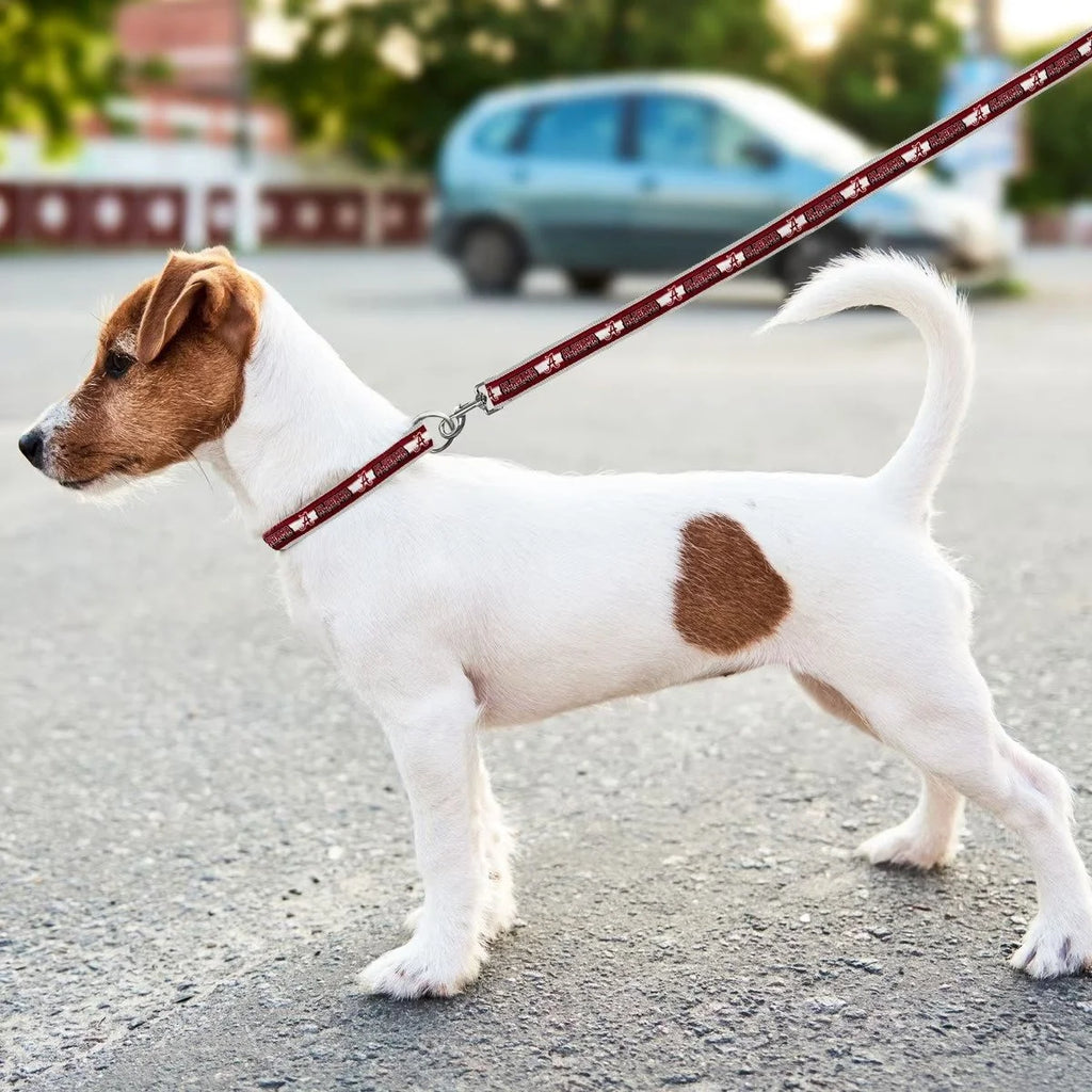 Pets First Alabama Crimson Tide Satin Nylon Dog Leash